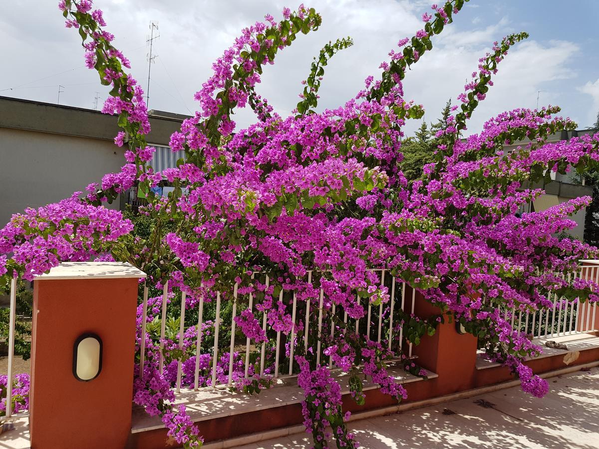 Bed and Breakfast Dimora D'Amato Grumo Appula Zewnętrze zdjęcie